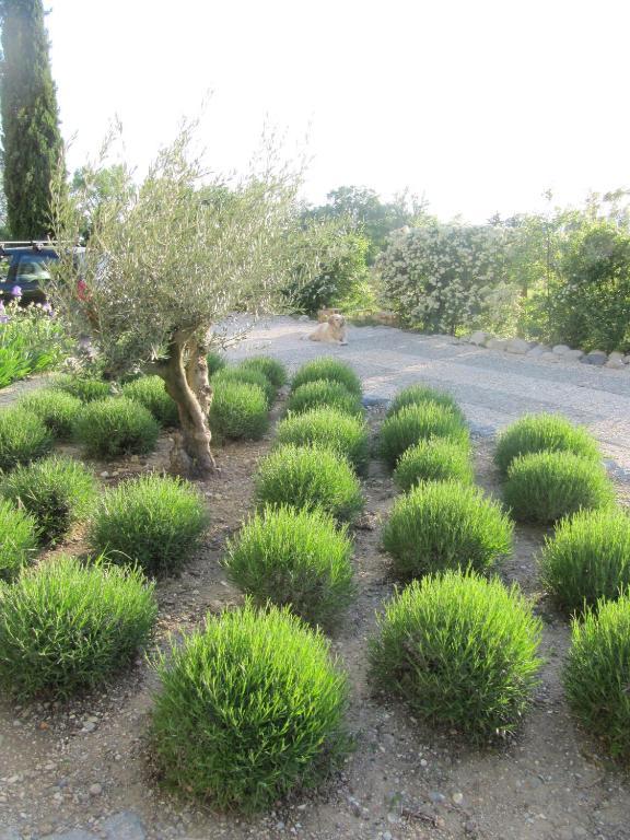 לינה וארוחת בוקר גרוספייר La Flor Azul מראה חיצוני תמונה